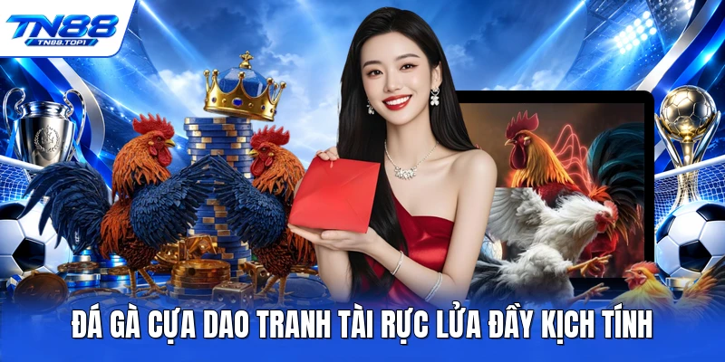 Đá gà cựa dao tranh tài rực lửa đầy kịch tính Đá gà cựa dao tranh tài rực lửa đầy kịch tính