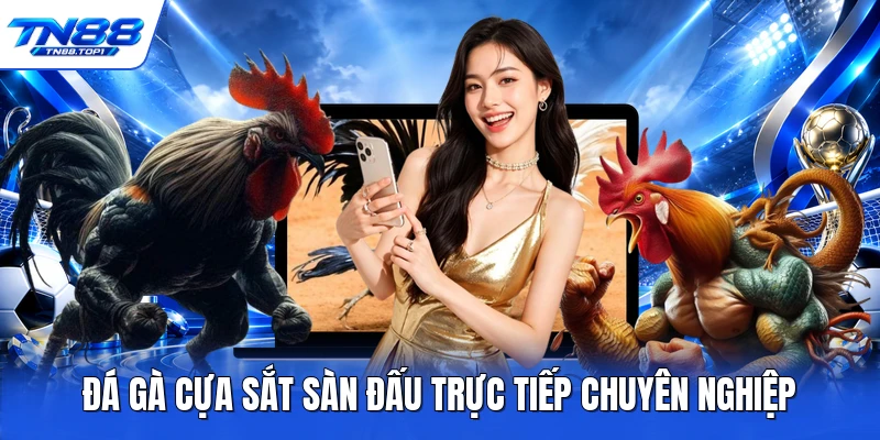 Đá gà cựa sắt sàn đấu trực tiếp chuyên nghiệp Đá gà cựa sắt sàn đấu trực tiếp chuyên nghiệp