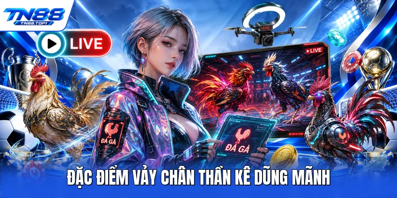 Đặc điểm vảy chân thần kê dũng mãnh Đặc điểm vảy chân thần kê dũng mãnh