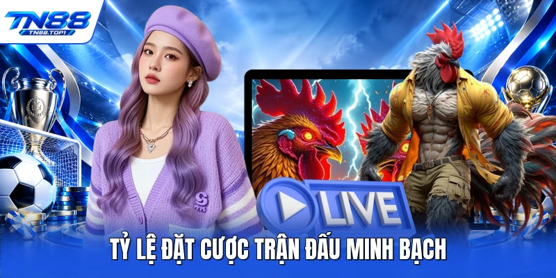 Tỷ lệ đặt cược trận đấu minh bạch